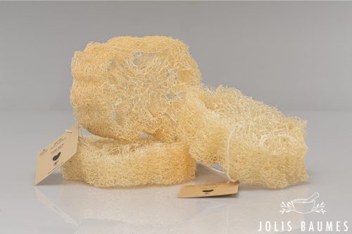 Luffa szivacs